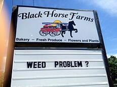 retail signage humorous funny retail signage humorous funny