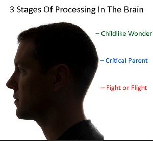 3-stage processing brain