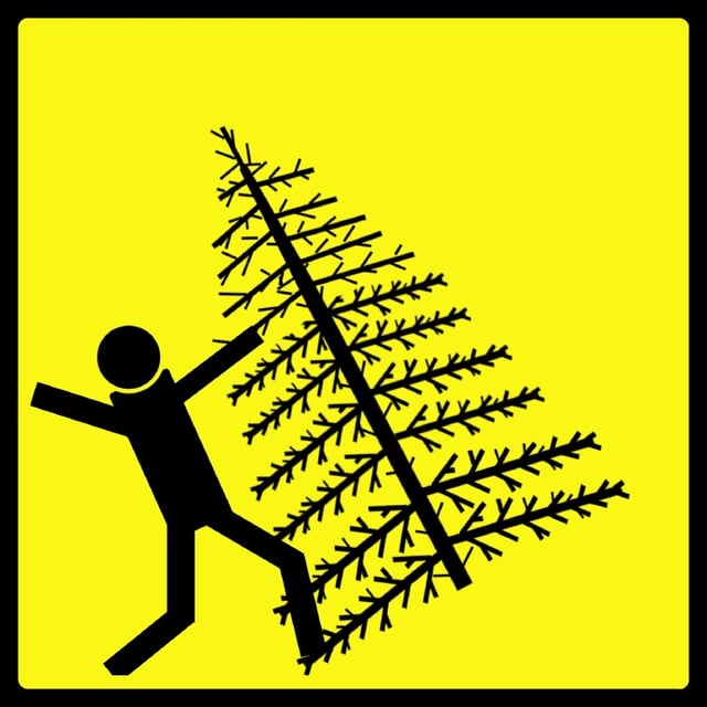 iStock_000000349703_Small.-holiday-dangerjpg.jpg