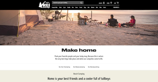 REI website example