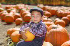 retail cash flow tips for october