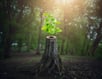 How the Resilience of Retailers Shines Through