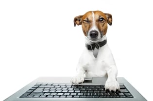 Dog online keyboard