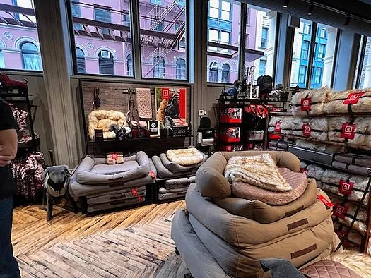 New Store Merchandising Ideas to See in 2022 in New York [Pics]