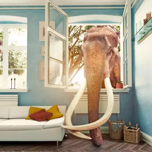 Retailers Elephant in the Room - It's all About us