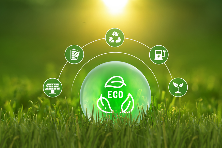 How Sustainability Can Be Eco-Friendly & Profitable