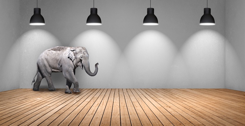 elephant in the room