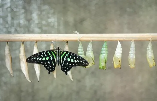 How To Reach Retail Customers In Spite Of Their Cocoons